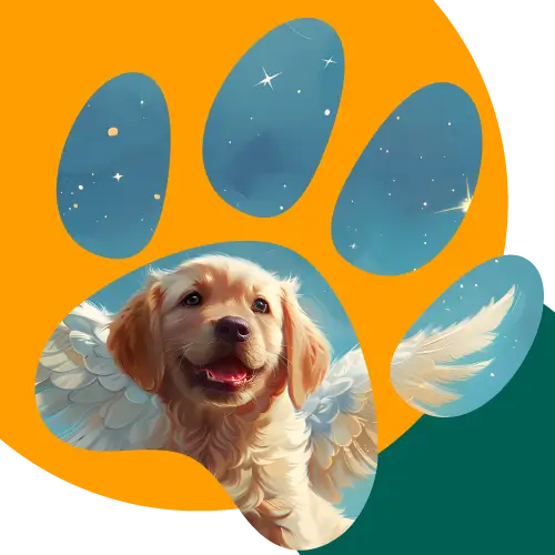 Mascota (1)